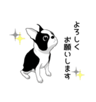 Doggy Daily4（個別スタンプ：6）