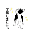 Doggy Daily4（個別スタンプ：7）