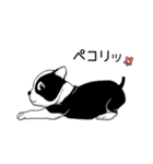 Doggy Daily4（個別スタンプ：9）