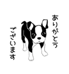 Doggy Daily4（個別スタンプ：11）