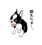 Doggy Daily4（個別スタンプ：14）