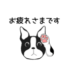Doggy Daily4（個別スタンプ：15）