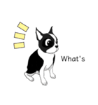 Doggy Daily4（個別スタンプ：16）