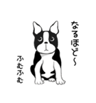 Doggy Daily4（個別スタンプ：18）