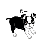 Doggy Daily4（個別スタンプ：19）