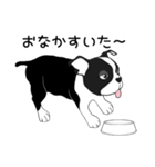 Doggy Daily4（個別スタンプ：23）
