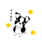 Doggy Daily4（個別スタンプ：24）