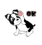 Doggy Daily4（個別スタンプ：25）
