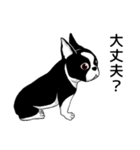 Doggy Daily4（個別スタンプ：26）