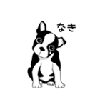 Doggy Daily4（個別スタンプ：27）