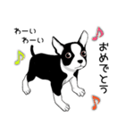 Doggy Daily4（個別スタンプ：30）