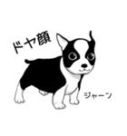Doggy Daily4（個別スタンプ：31）