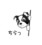 Doggy Daily4（個別スタンプ：37）