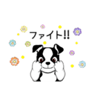Doggy Daily4（個別スタンプ：40）