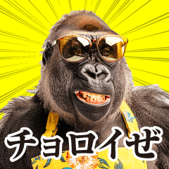 [LINEスタンプ] 母ゴリラの本音