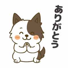 [LINEスタンプ] ほのぼのボーダーコリー パクチー