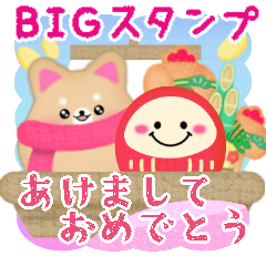 [LINEスタンプ] BIG毎年かわいい♥柴犬・豆柴の年末年始 16