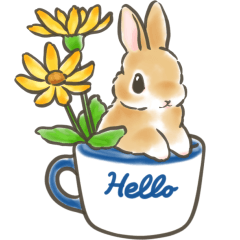 [LINEスタンプ] 毎日（初夏）☆うさぎのスタンプ