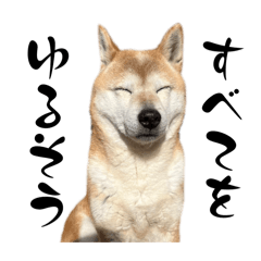[LINEスタンプ] おきらく〜な柴犬スタンプ