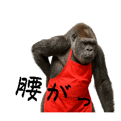 [LINEスタンプ] 赤エプロンのゴリラ（50）更年期です