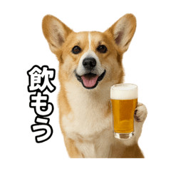 [LINEスタンプ] 毎日つかえるコーギー