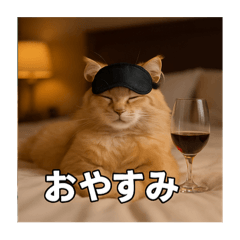 [LINEスタンプ] 毎日セレブな猫スタンプ