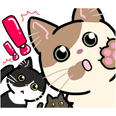 [LINEスタンプ] 日常使い♡可愛い猫スタンプ【ろくちゃん】