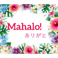 [LINEスタンプ] アロハな花たち ありがとうスタンプ