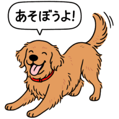 [LINEスタンプ] ゴールデンレトリバー (ダークゴールド)