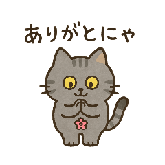 [LINEスタンプ] サバニャンの日常スタンプ