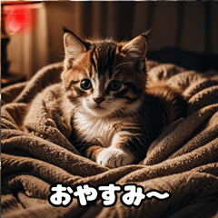 [LINEスタンプ] 双子のねこちゃん