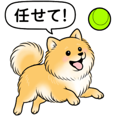 [LINEスタンプ] ポメラニアン(オレンジ)