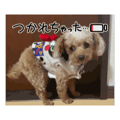 [LINEスタンプ] くるあかの日常会話