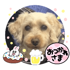 [LINEスタンプ] かわいいお犬様（挨拶）