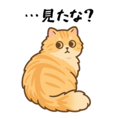 [LINEスタンプ] ネコの可愛いは正義スタンプ