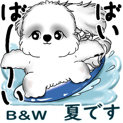 [LINEスタンプ] 新・B＆Wシーズー犬 2025 「夏です」
