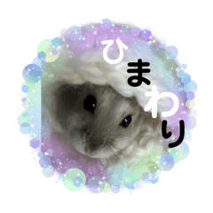 [LINEスタンプ] ハムチャン？