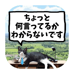 [LINEスタンプ] 敬語・丁寧！できるビジネス猫エレが一言