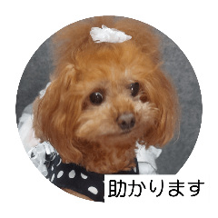 [LINEスタンプ] ni-na ❤︎