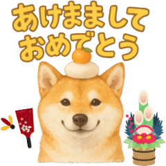 [LINEスタンプ] 柴犬、気持ちを伝えるスタンプ
