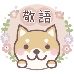 [LINEスタンプ] ★敬語★柴犬しばちゃん