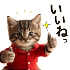 [LINEスタンプ] 毎日のふわふわ子猫【日常・かわいい】