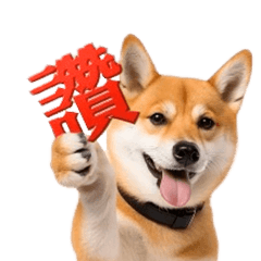 [LINEスタンプ] 動く！リアル豆柴の日常（繁体字）