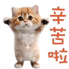 [LINEスタンプ] 踊る！ダンス猫（繁体字）