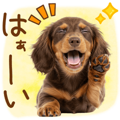 [LINEスタンプ] ゆるかわ！ダックスの日常スタンプ