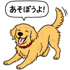 [LINEスタンプ] ゴールデンレトリバー (ゴールド)
