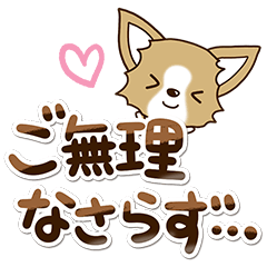 [LINEスタンプ] 『チワワ 犬スタンプ』敬語