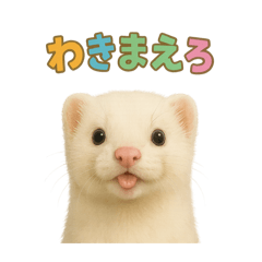 [LINEスタンプ] ずがたかいフェレット