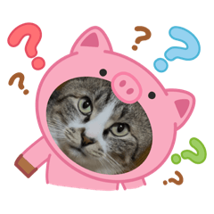 [LINEスタンプ] 三兄弟と愉快な保護猫達シリーズ