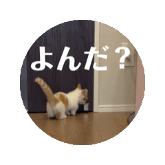 [LINEスタンプ] てとくんのいっぽいっぽ